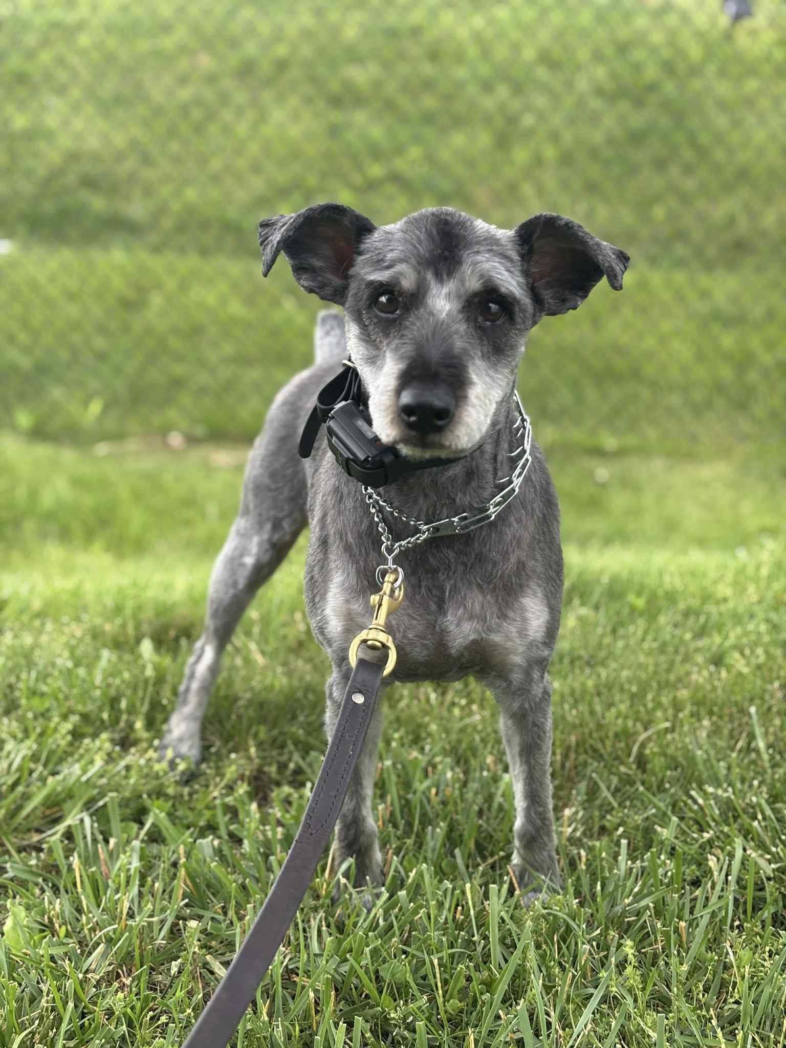 Sullivan thumbnail 2