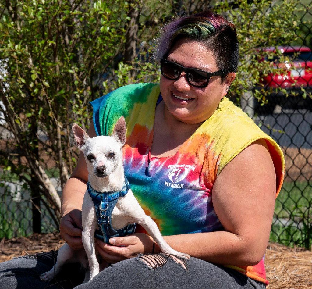 Enlarge Howie, a Adoptable Chihuahua in Ellijay, GA image 3/3
