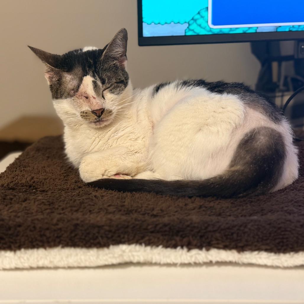 Journey — thumbnail 2