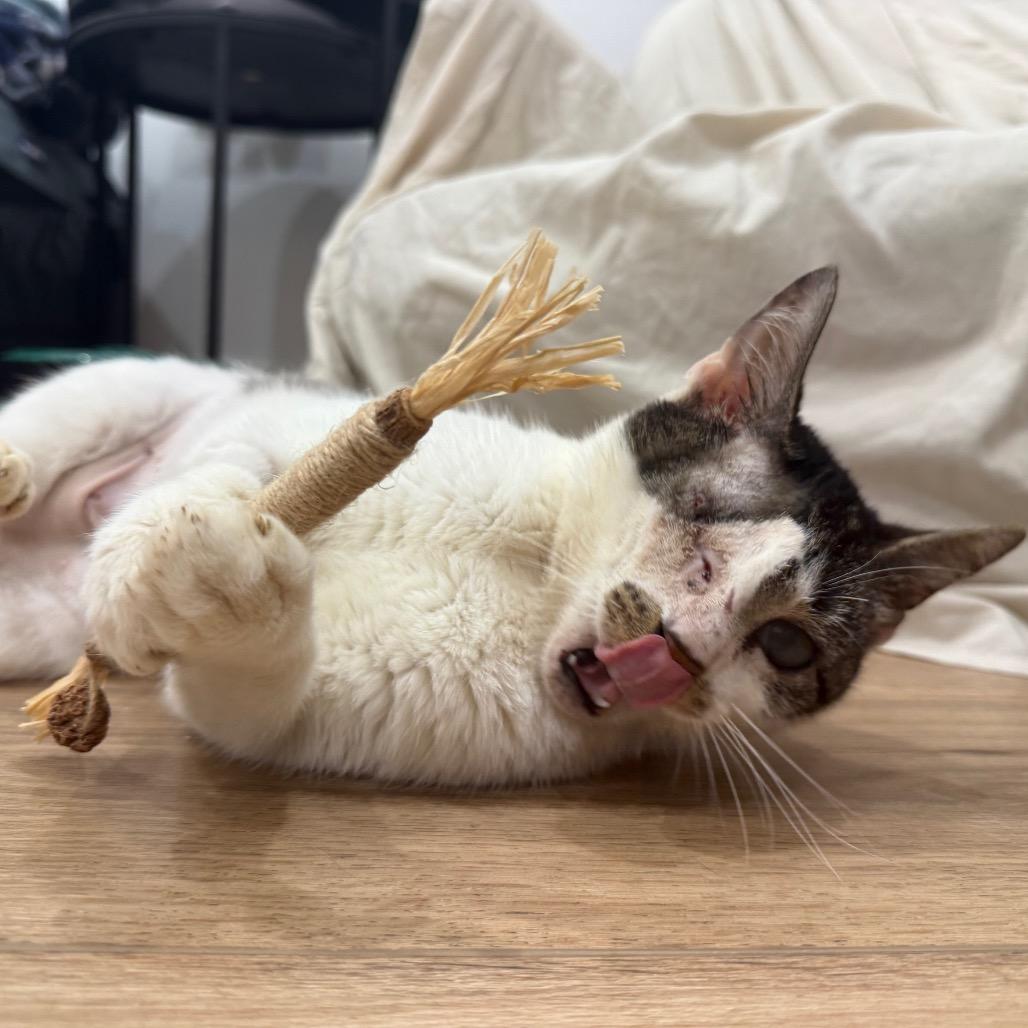 Journey — thumbnail 3