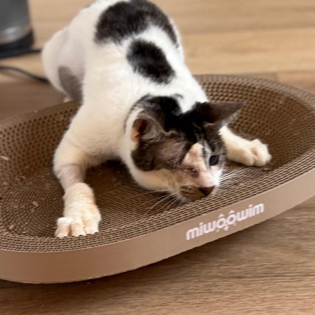 Journey — thumbnail 4