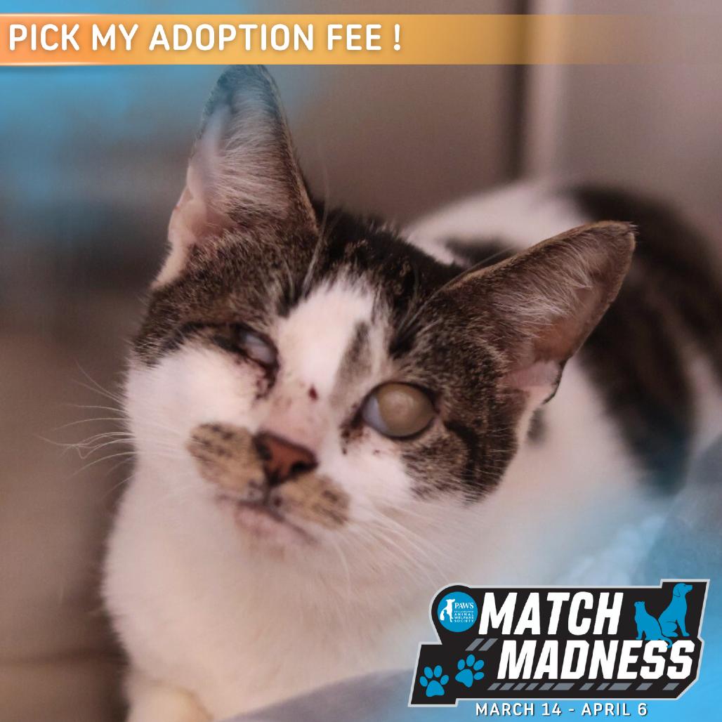 Journey — thumbnail 5