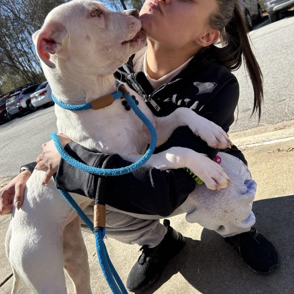 Rollie Pollie 9421 — thumbnail 6