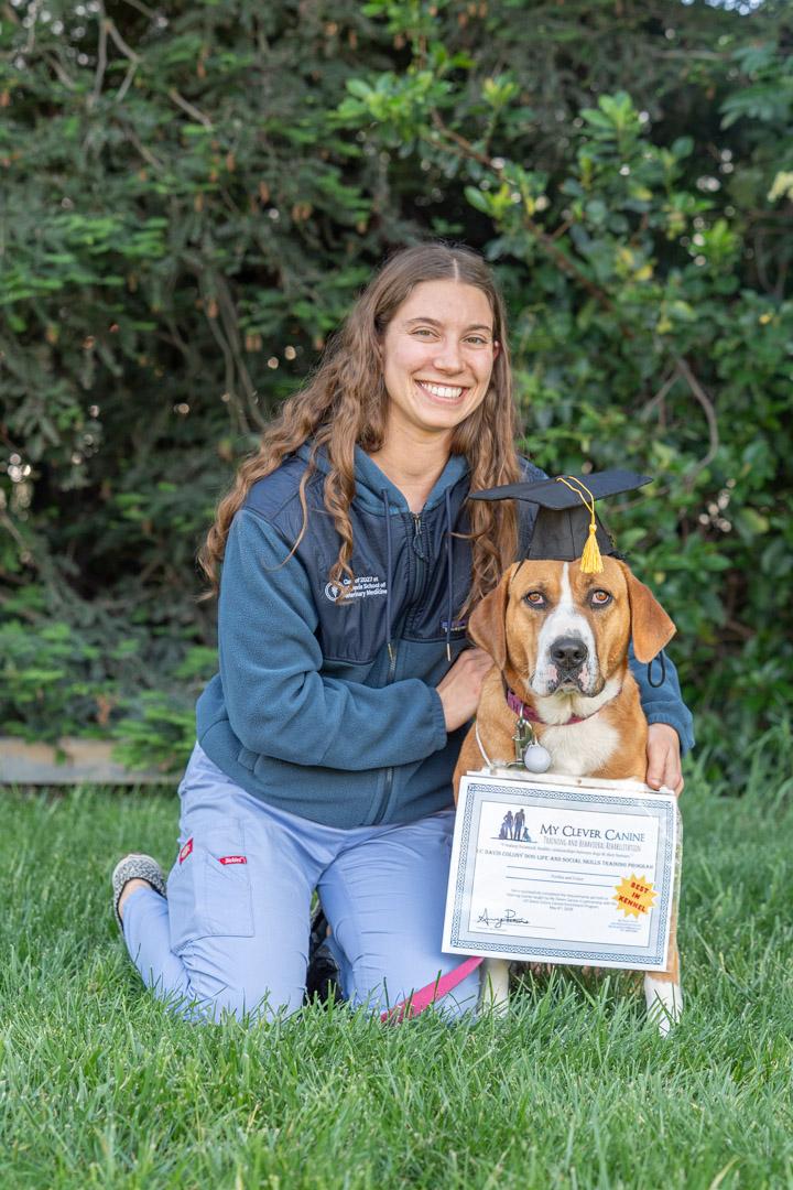 Enlarge Perdita, an adopted mixed breed in Davis, CA image 3/6