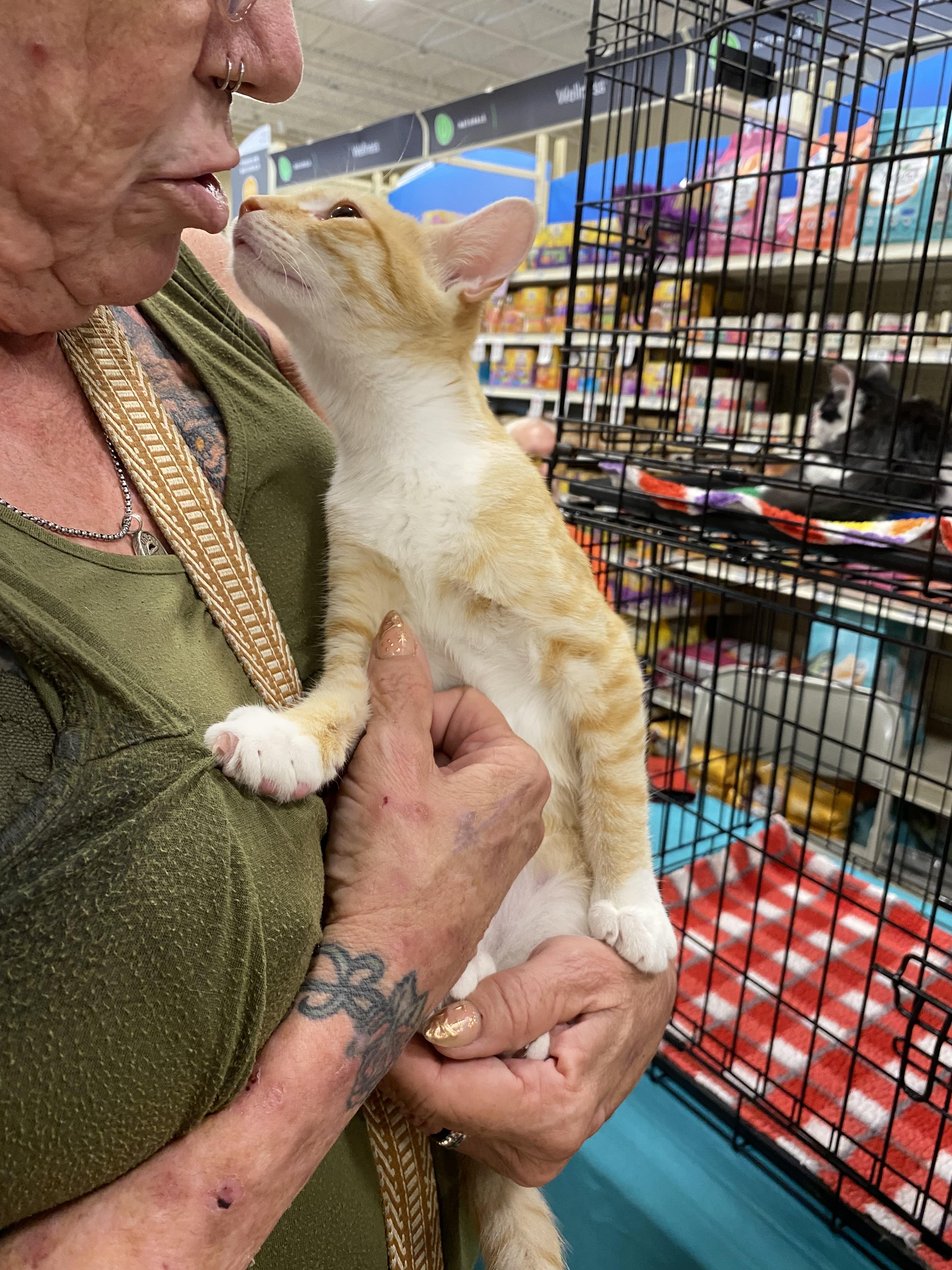 Zephyr - North Conroe Petsmart