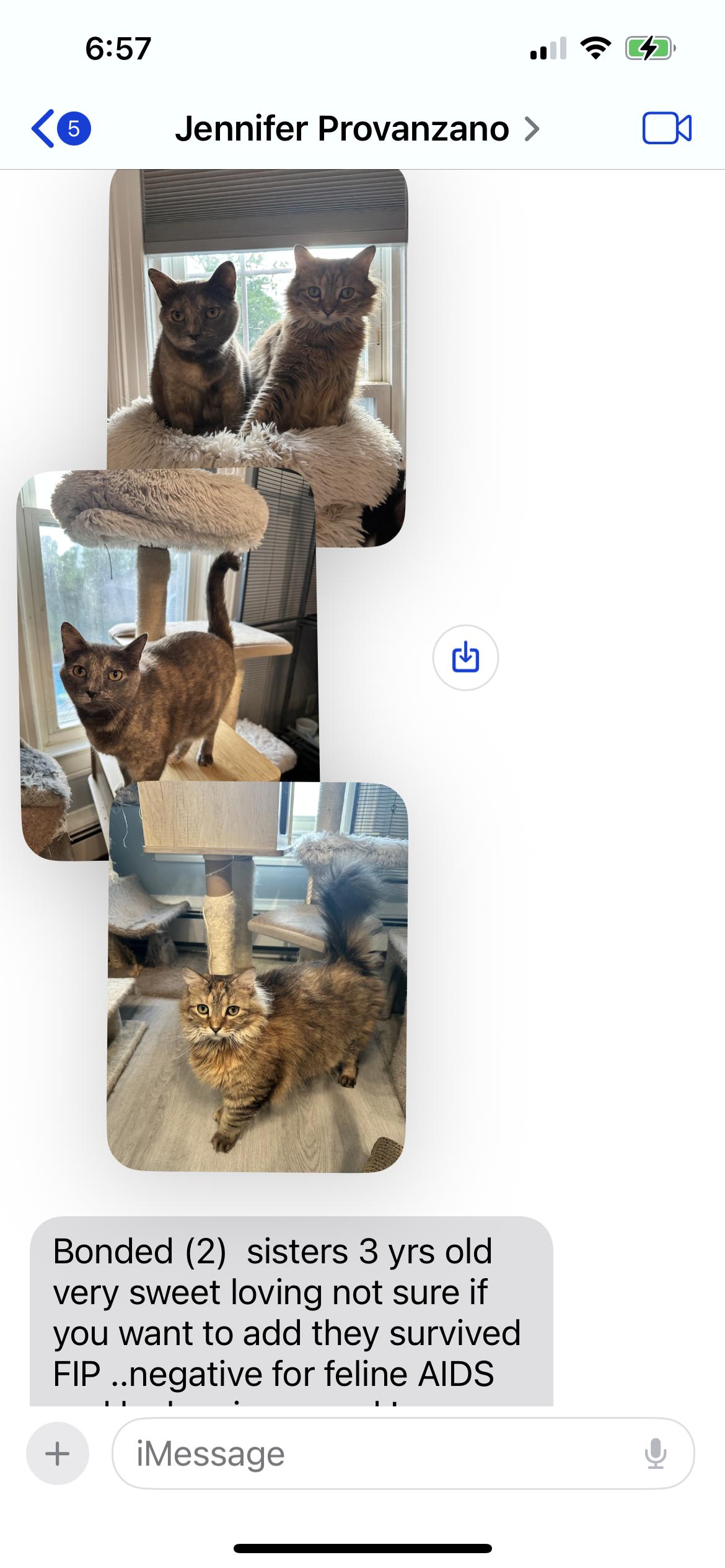 Bonded sisters photo 4