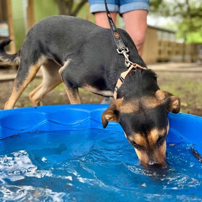 Jennie Ruby Jane — thumbnail 3