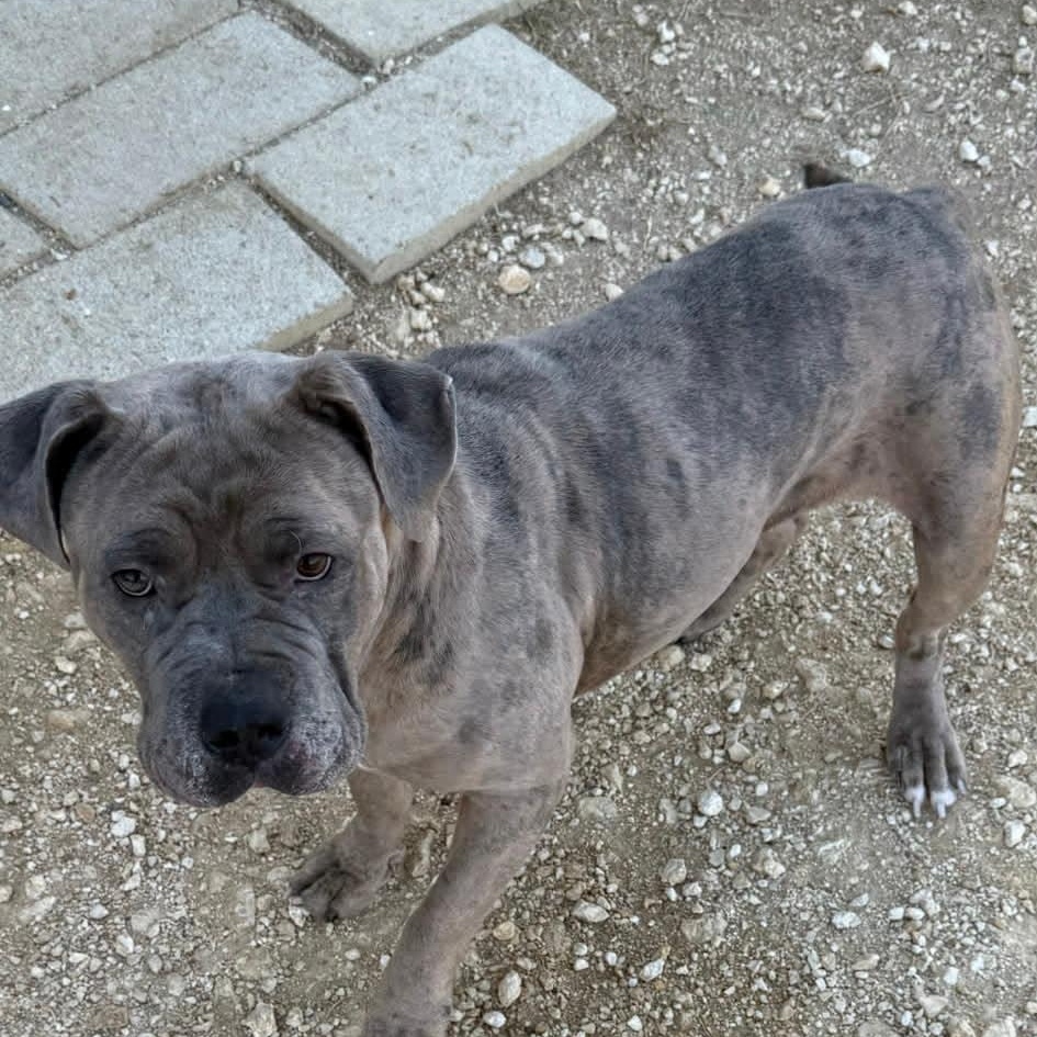 Fiona — thumbnail 3