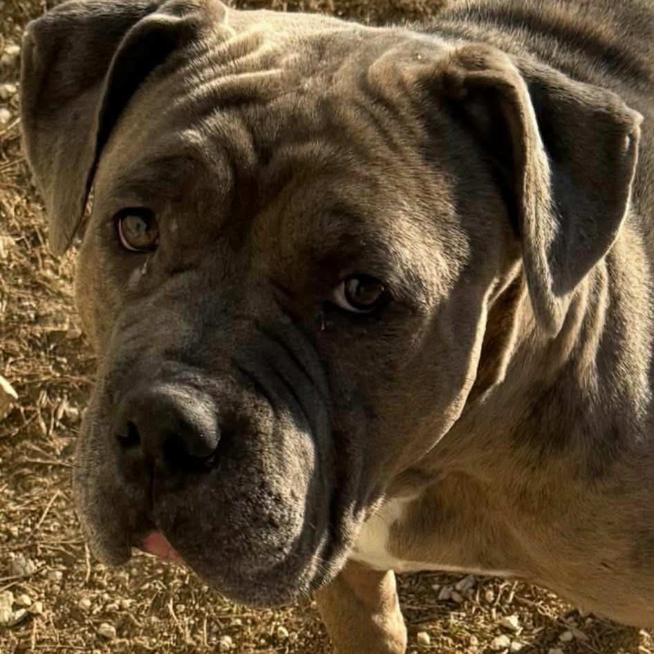 Fiona — thumbnail 4