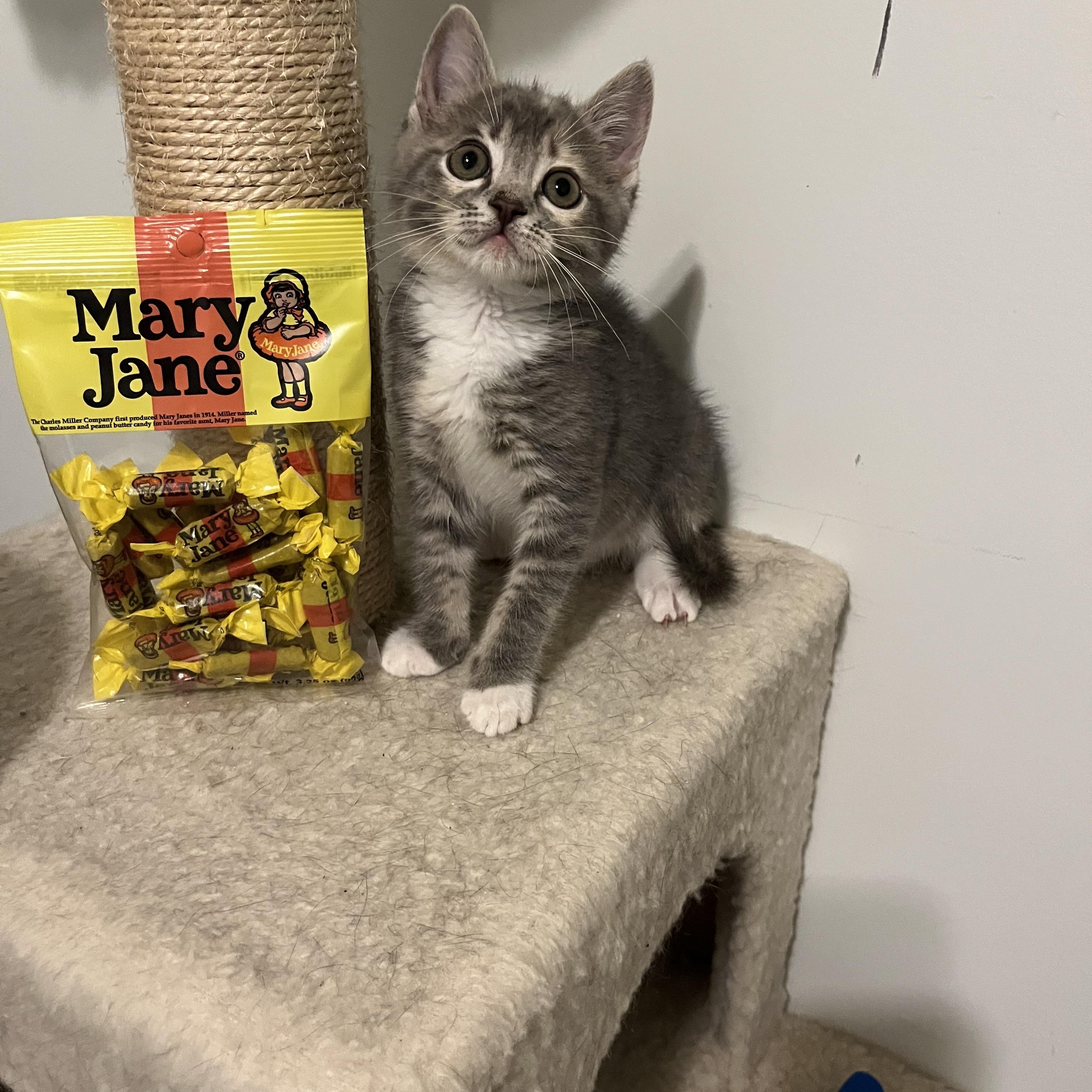 Mary Jane photo 3