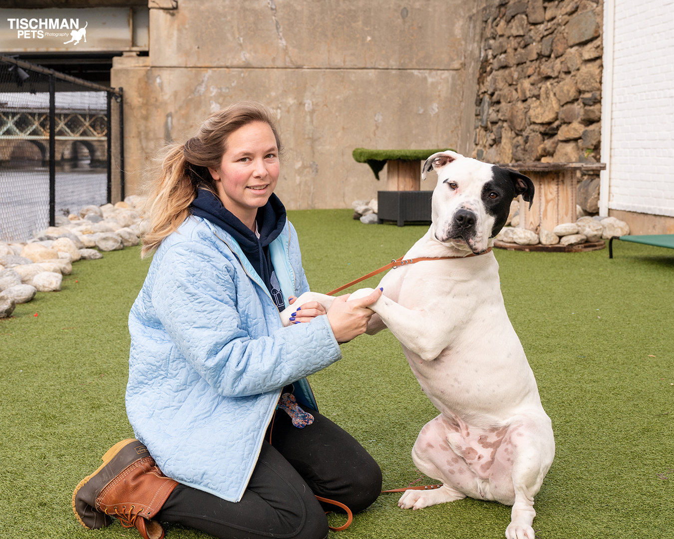 Enlarge Patrick, a Adoptable mixed breed in Stamford, CT image 4/14