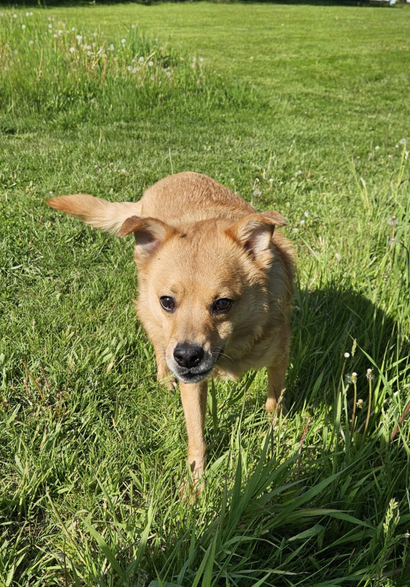Gabriel aka Tank
