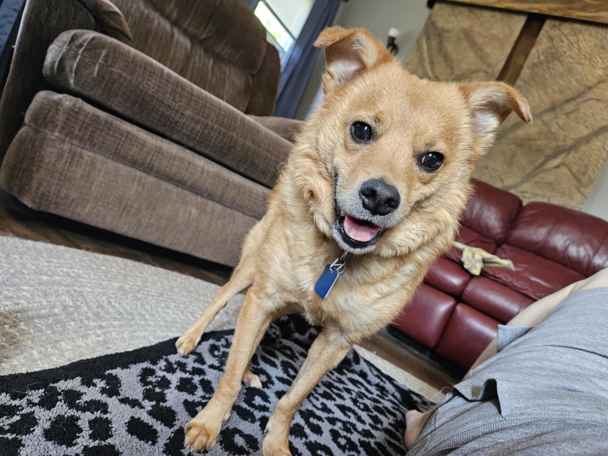 Gabriel aka Tank