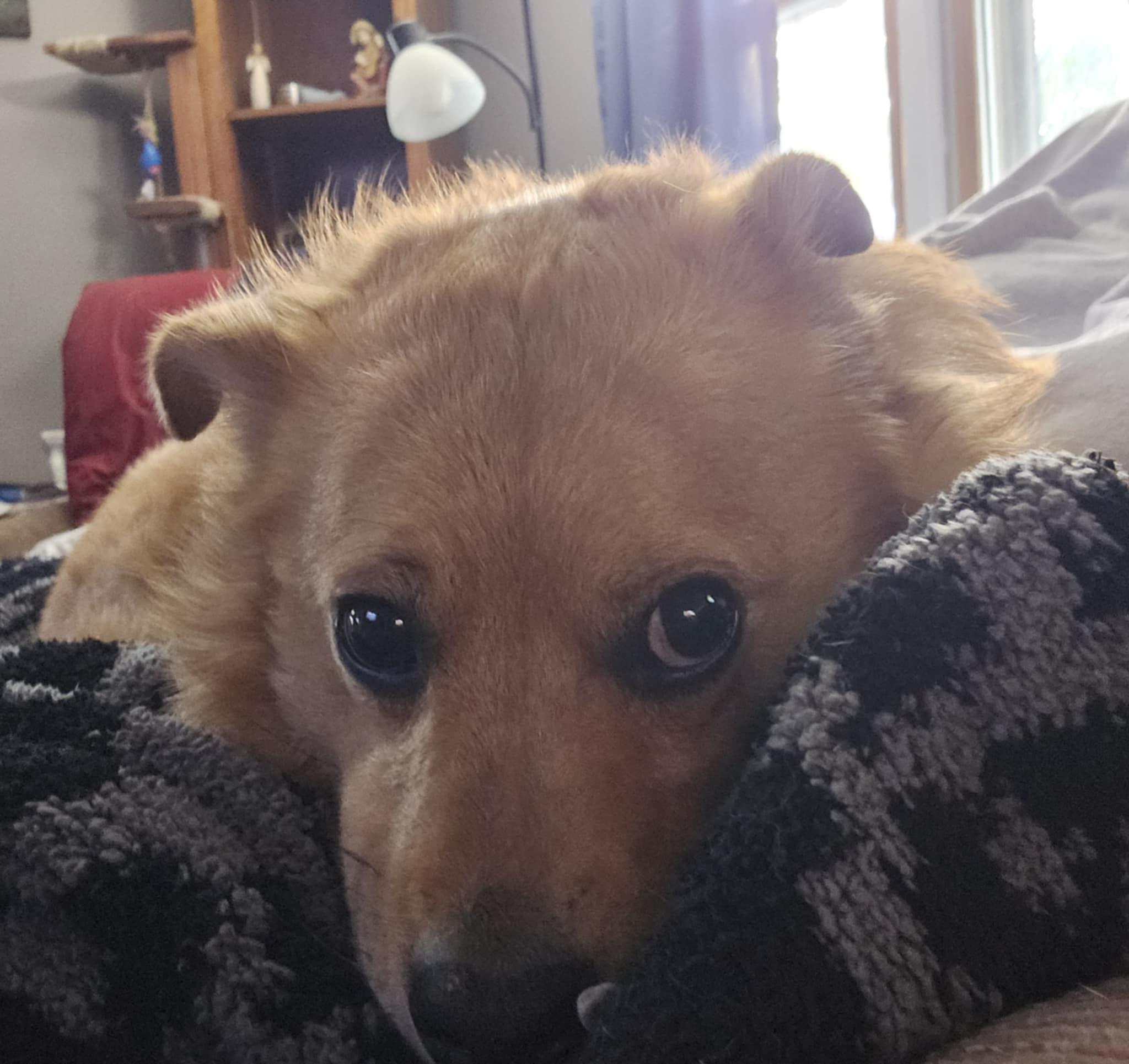 Gabriel aka Tank