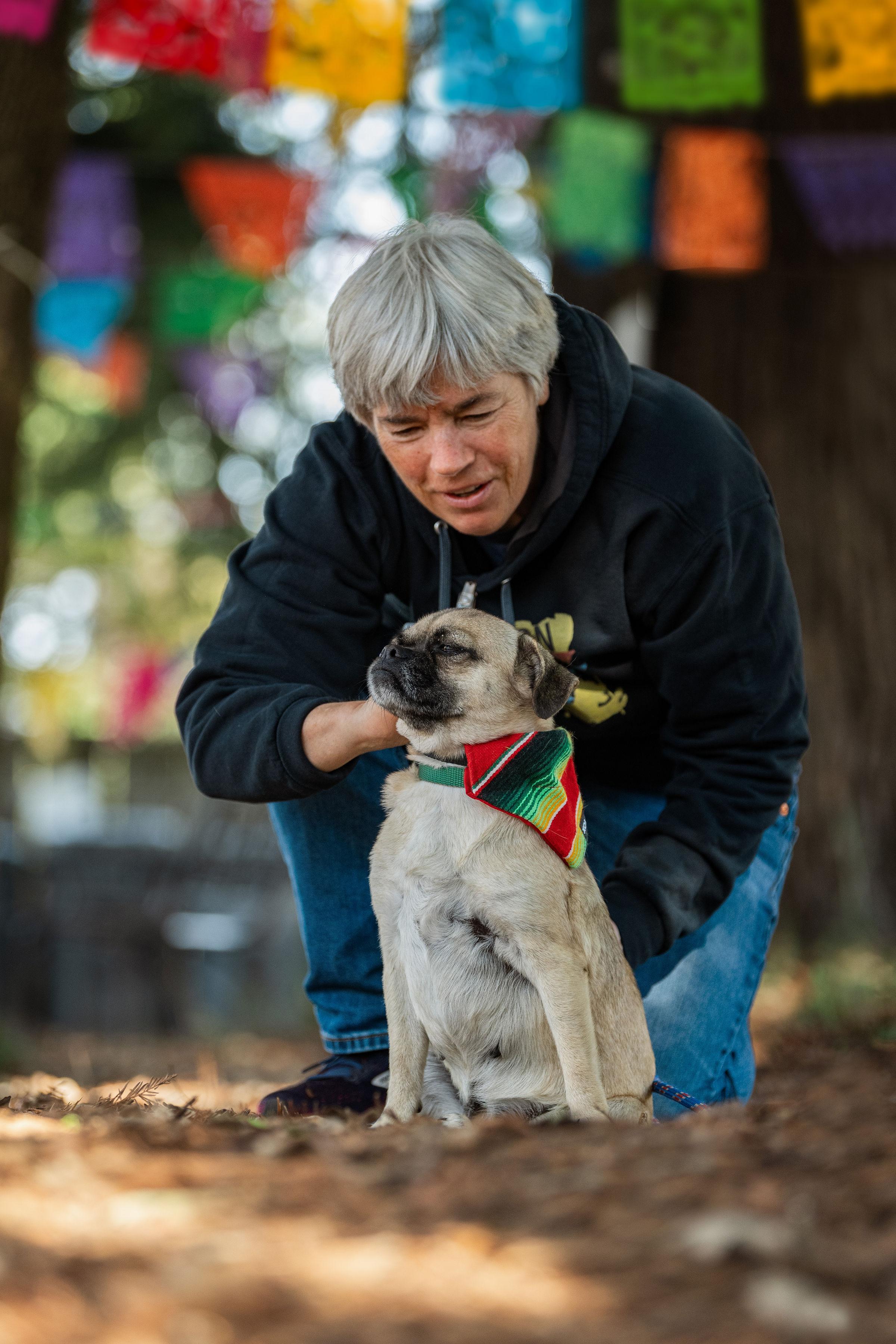 Enlarge Talina, a ADOPTABLE mixed breed in Santa Rosa, CA image 5/5