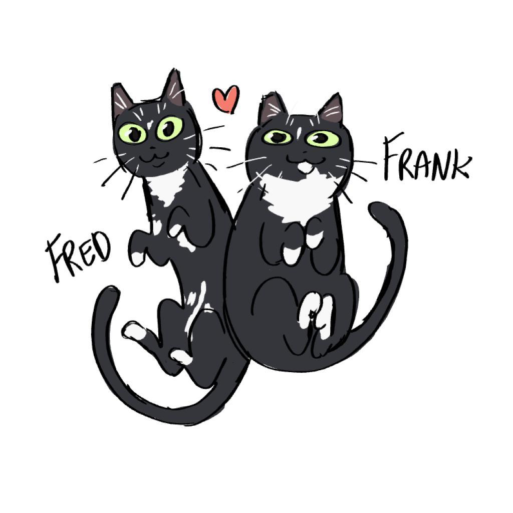 Enlarge Frank, a Adoptable Domestic Short Hair in Los Angeles, CA image 5/6