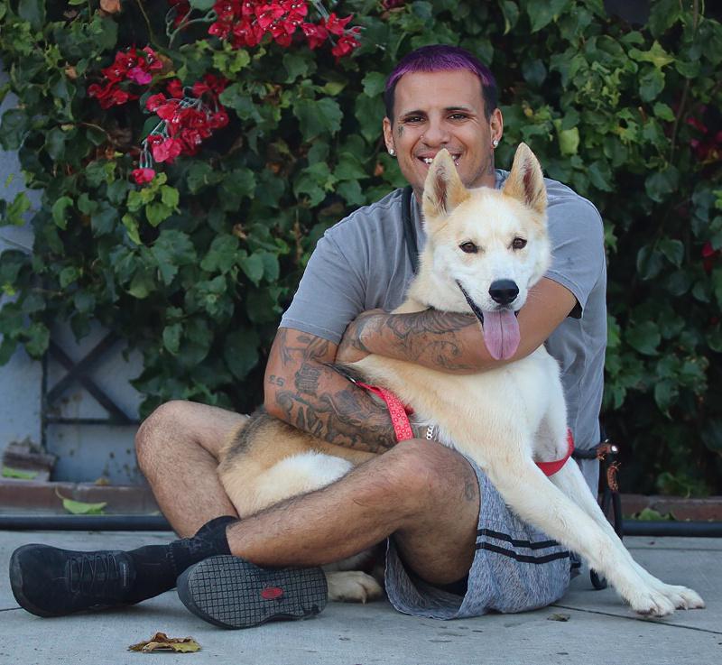 Enlarge Hennessy von Ronnenberg", a Adoptable mixed breed in Los Angeles, CA image 2/6