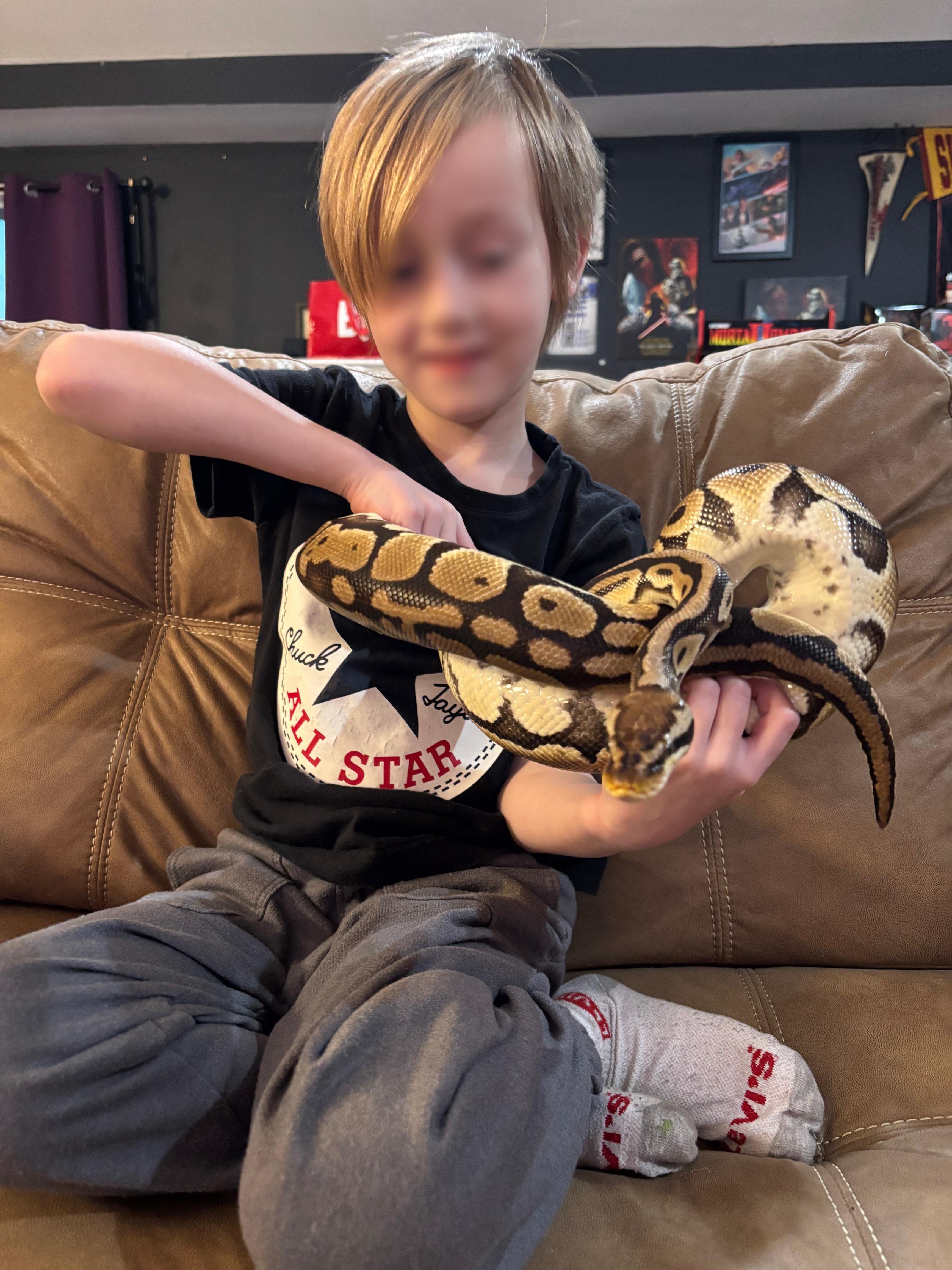 Luther , an adopted Python in JACKSON, NJ image 1/5
