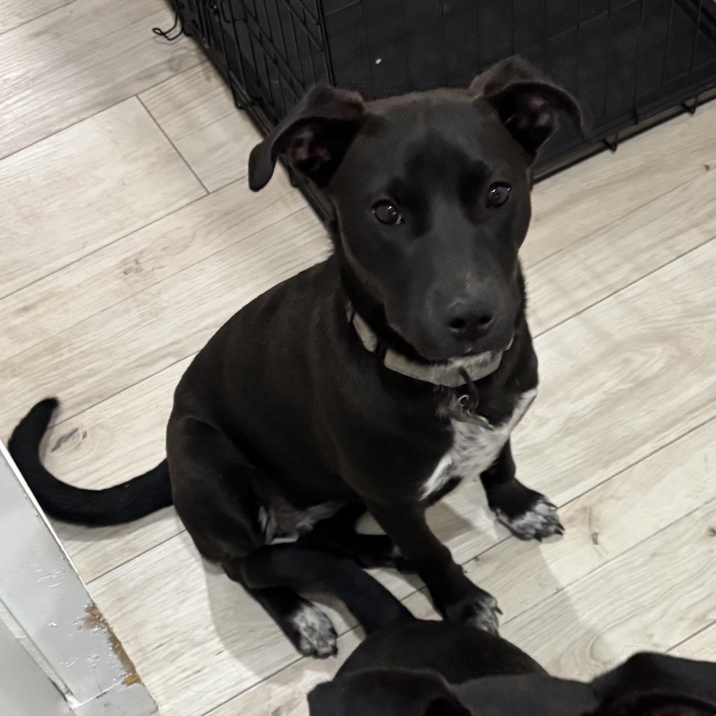 Patsy Cline — thumbnail 4