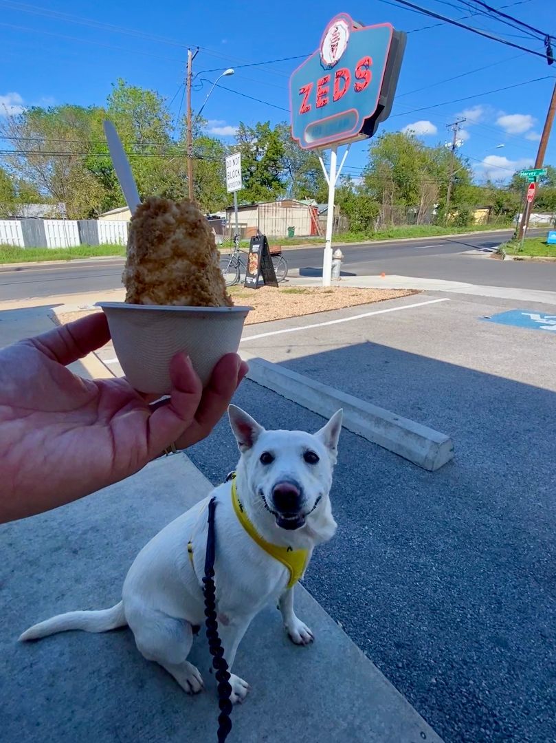 Aurora, a Adoptable mixed breed in Austin, TX image 2/4