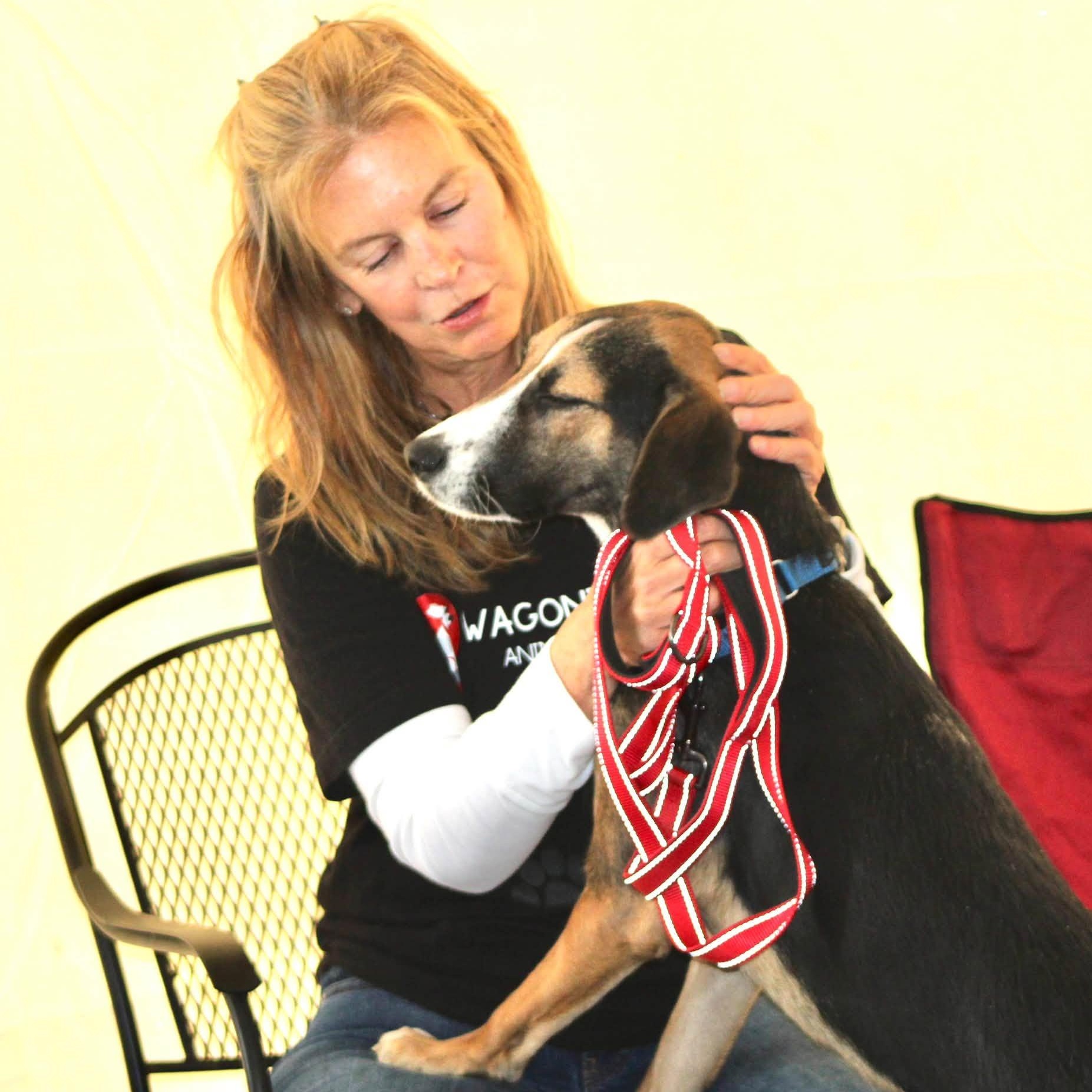 Enlarge Jasmine, a Adopted mixed breed in West Grove, PA image 2/6