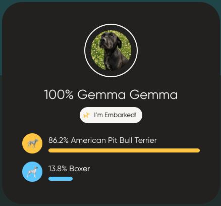Enlarge Gemma, a ADOPTABLE mixed breed in Colville , WA image 5/5
