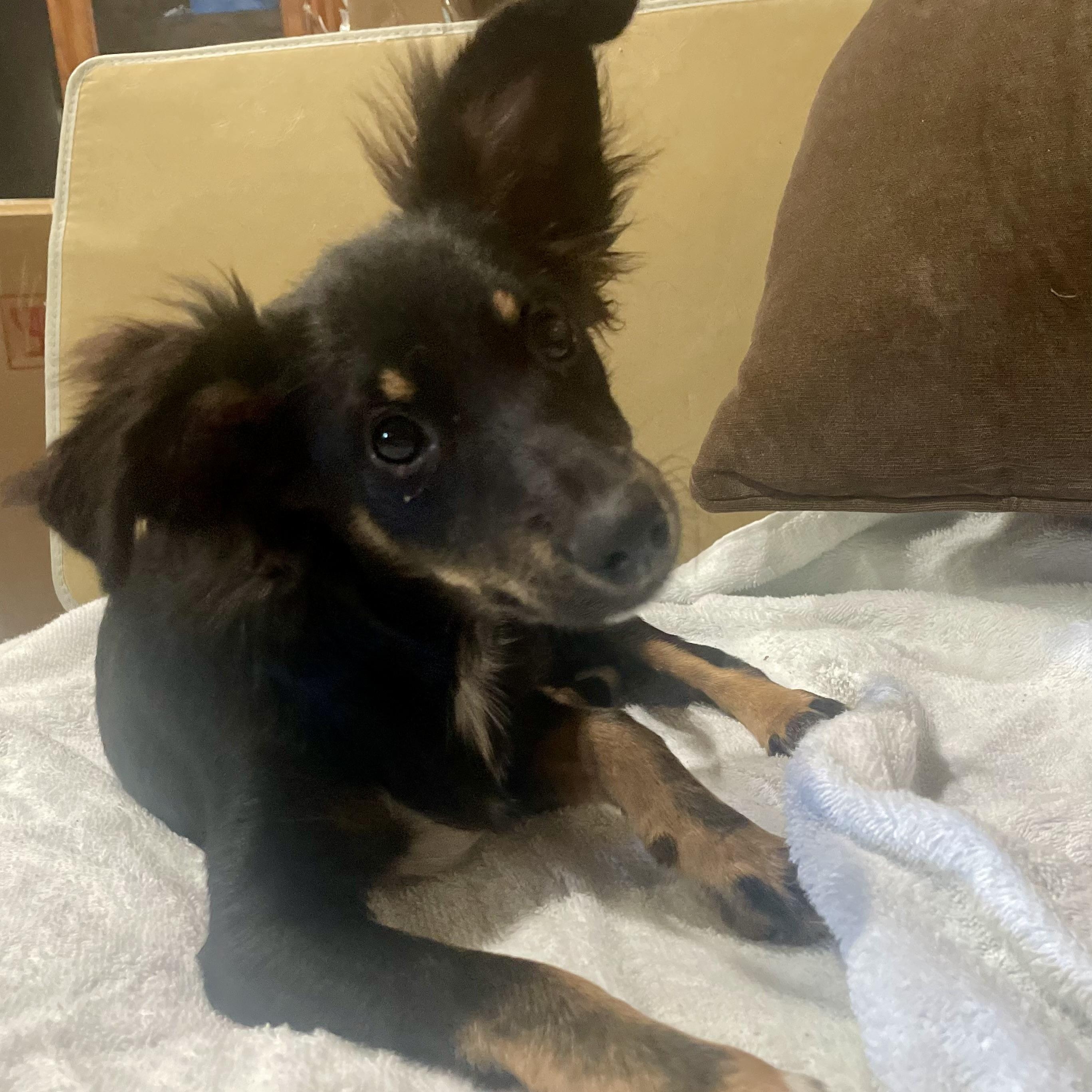 Sally Fay thumbnail 2