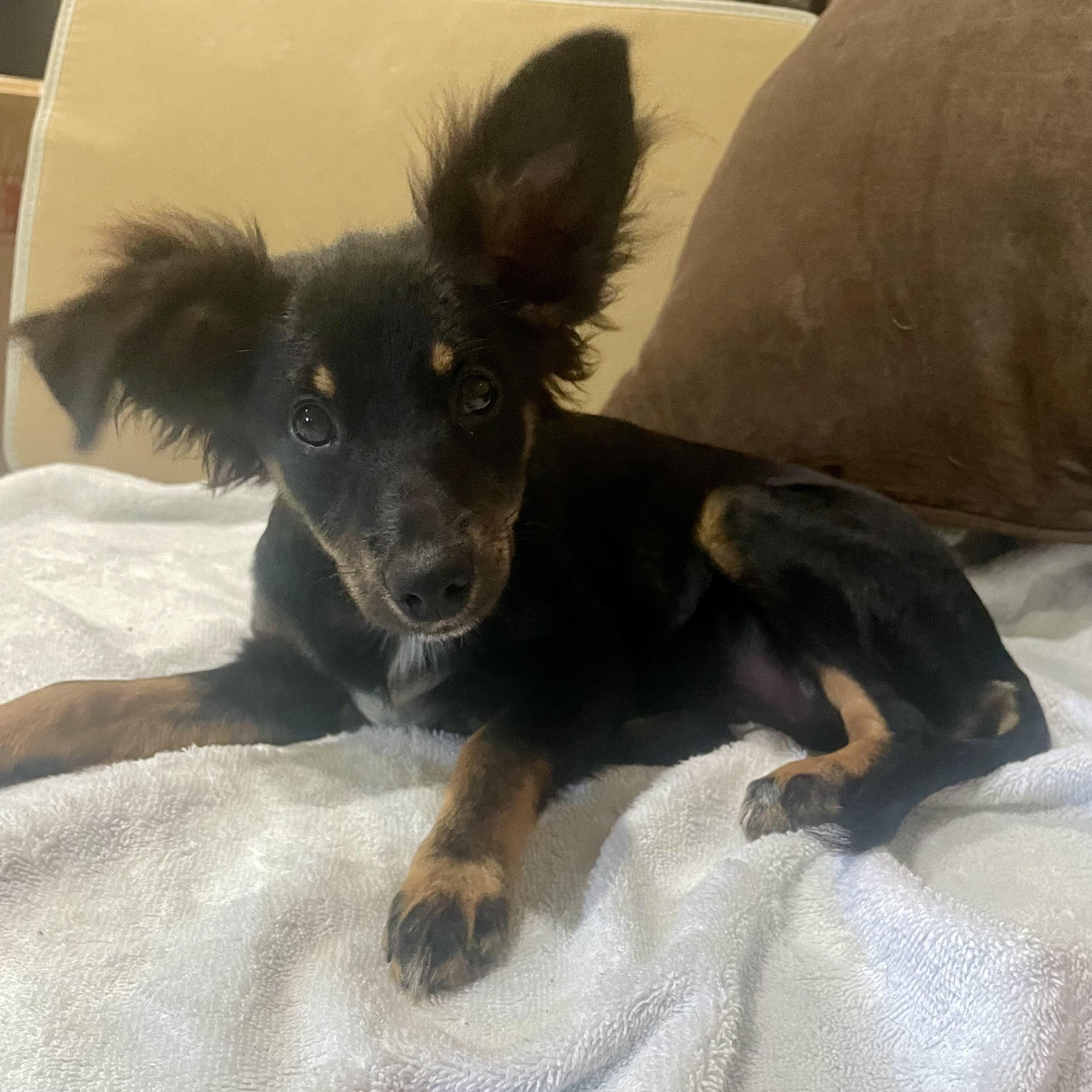 Sally Fay thumbnail 3