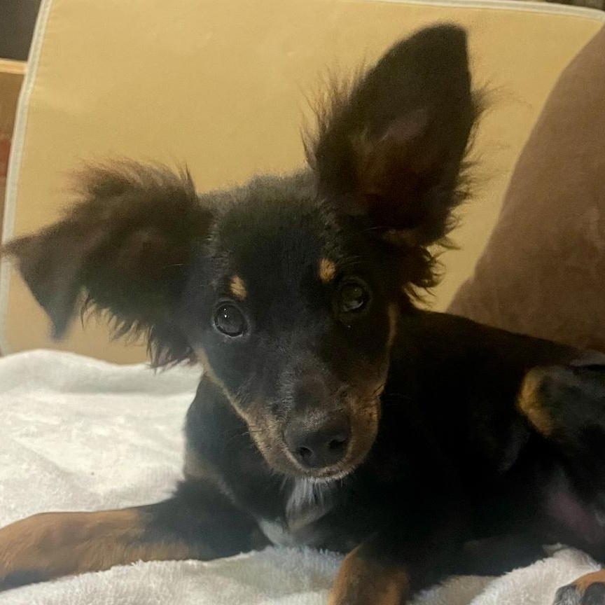 Sally Fay thumbnail 4