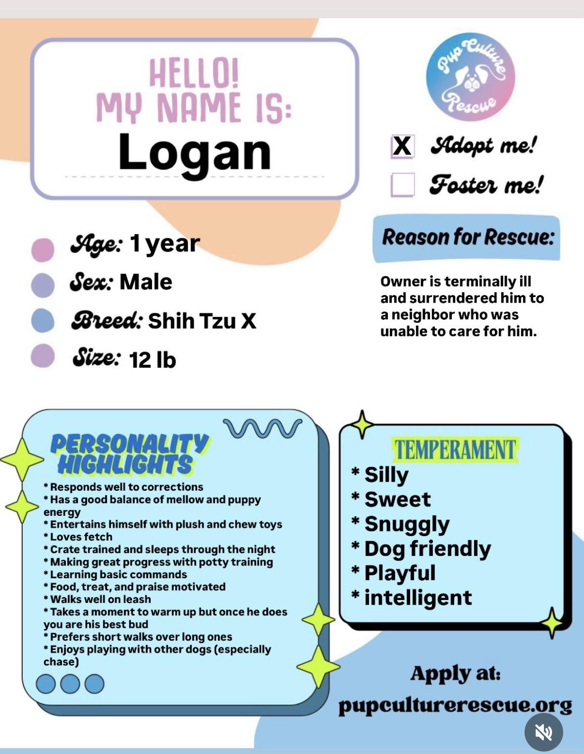 Enlarge Logan, a ADOPTABLE mixed breed in Pasadena, CA image 5/6