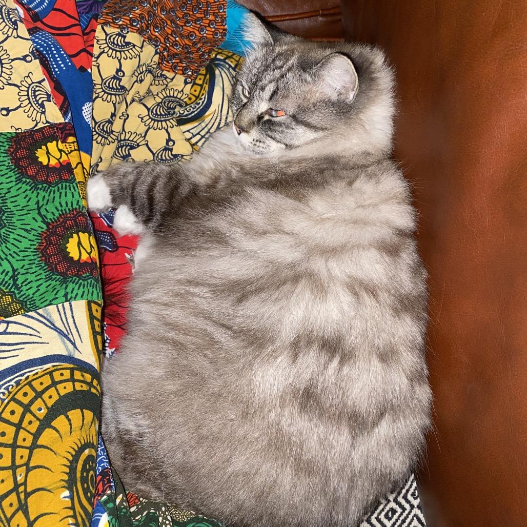 Svetlana thumbnail 5