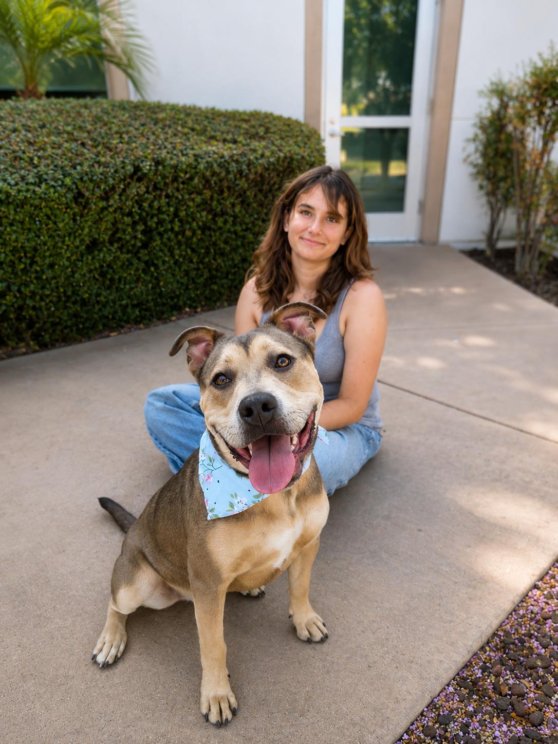 Phoenix, a ADOPTABLE mixed breed in Menifee, CA image 6/6