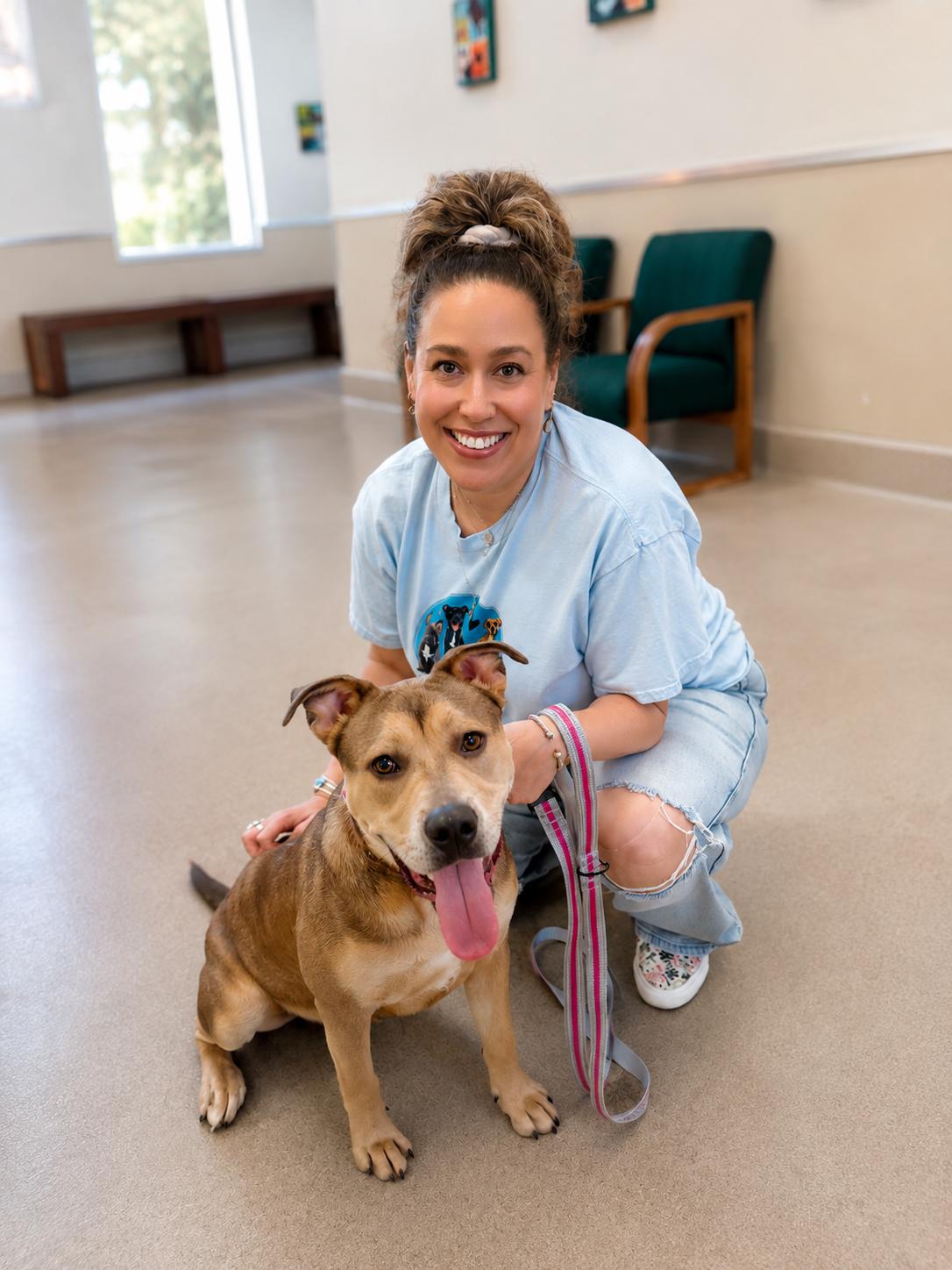 Phoenix, a ADOPTABLE mixed breed in Menifee, CA image 4/6