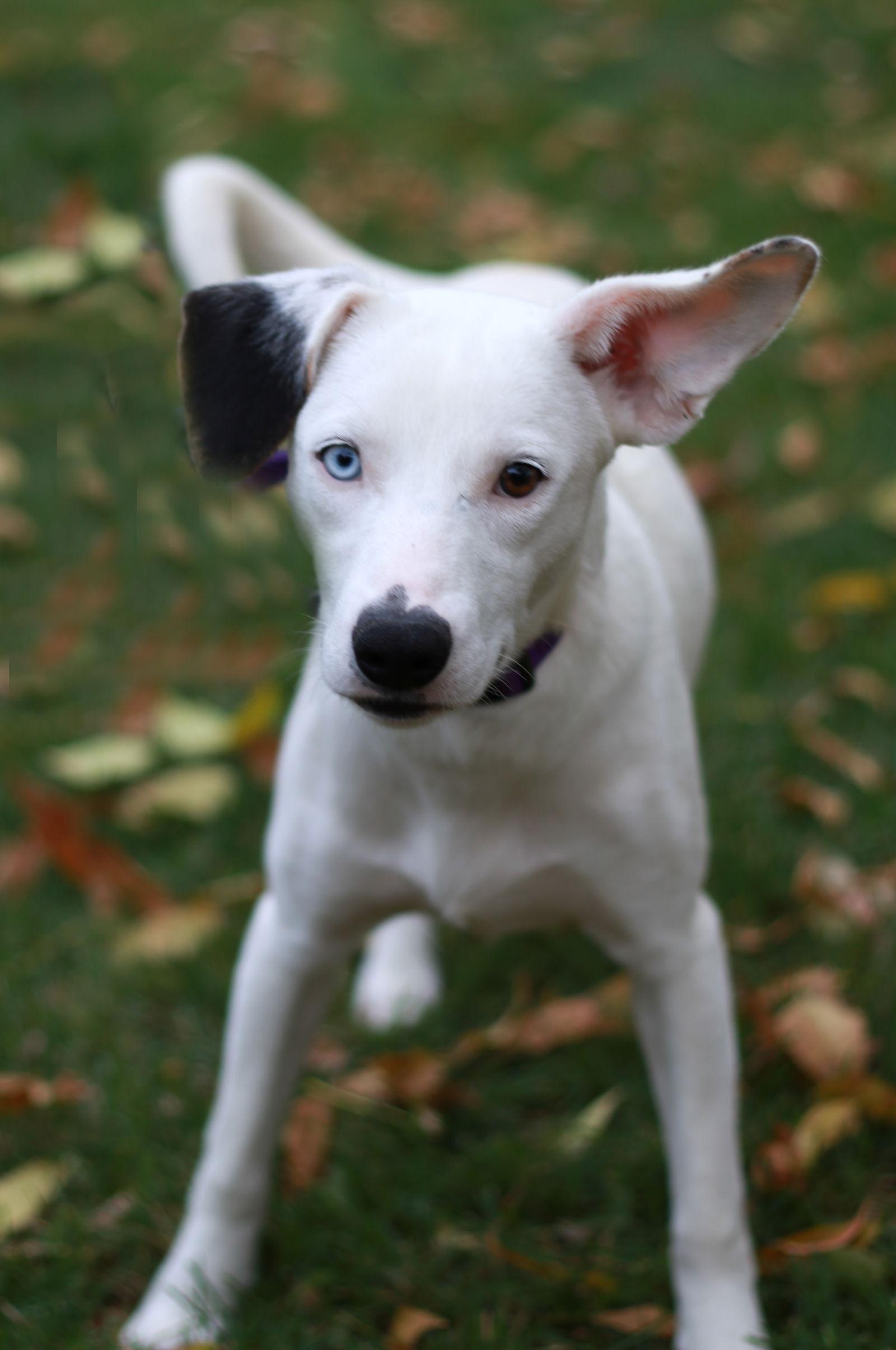 Stella Jane thumbnail 2