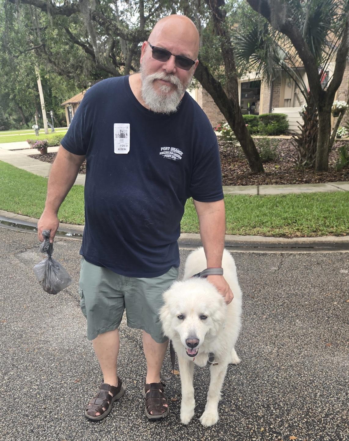 BEAR (calm & lovng Great pyrenees), a ADOPTABLE Great Pyrenees in Port Orange, FL image 4/5