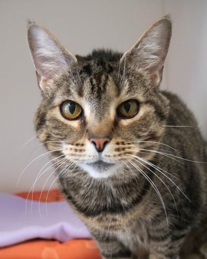 Fergie — thumbnail 2