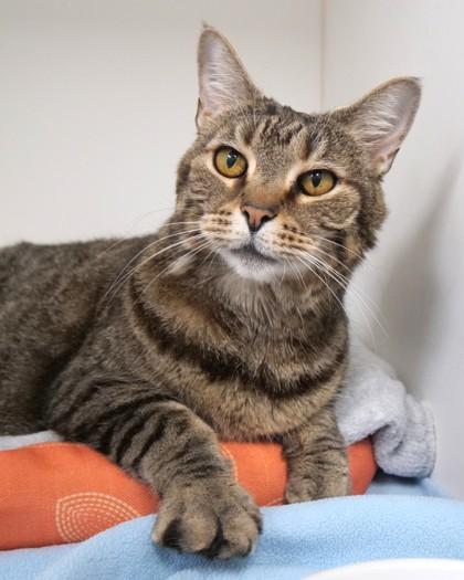 Fergie — thumbnail 3