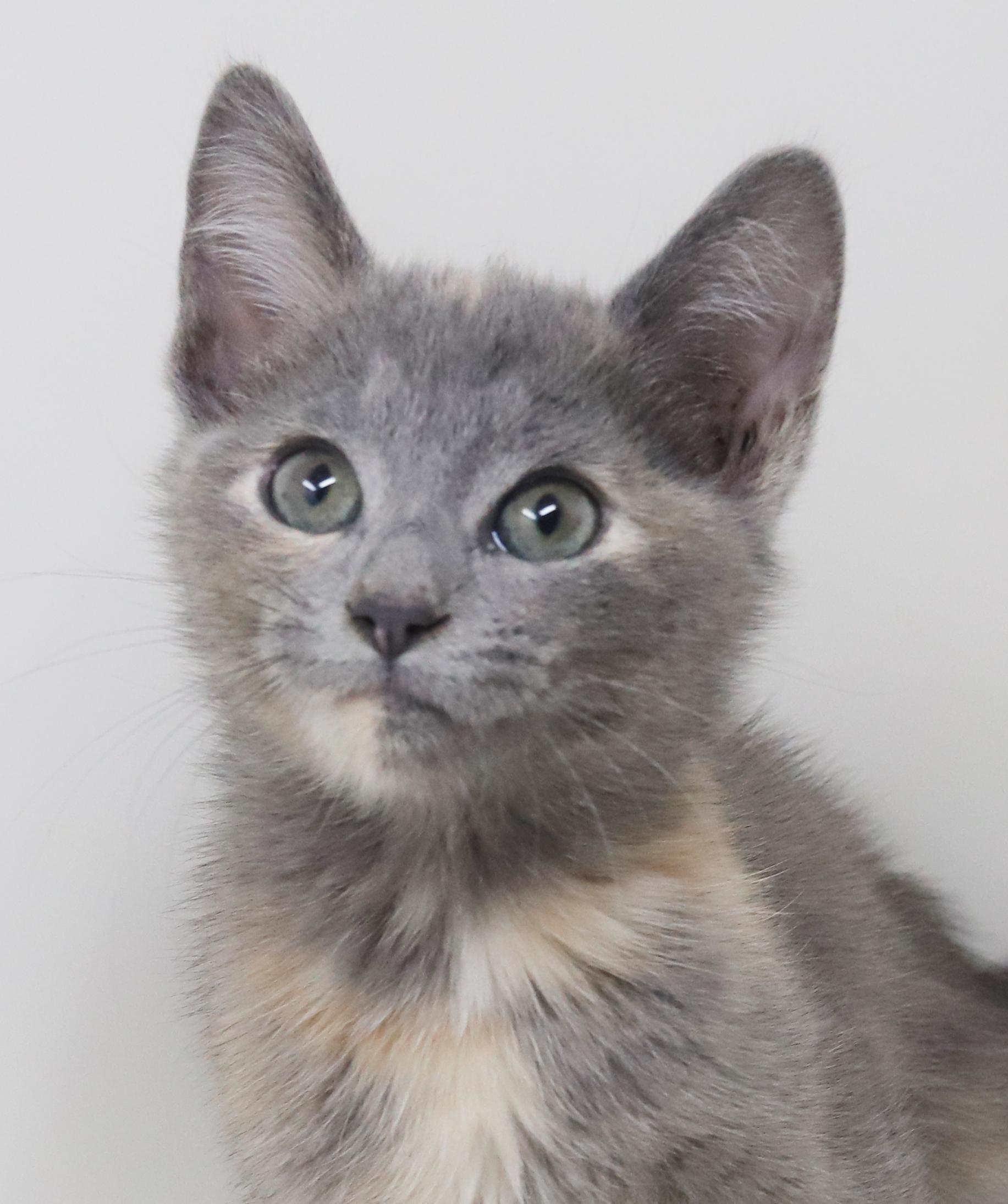 Belinda Is Well... The