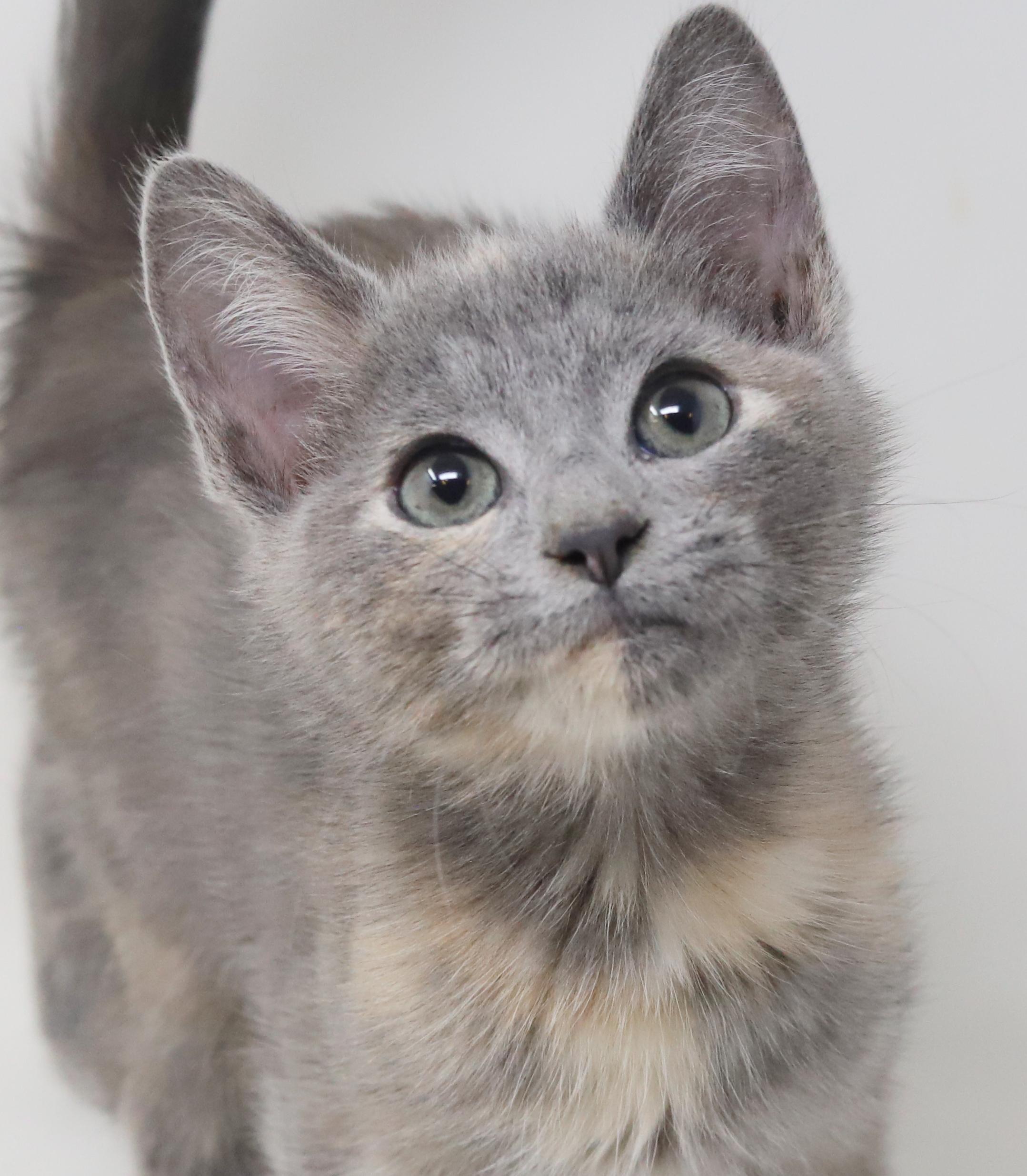 Belinda Is Well... The thumbnail 3