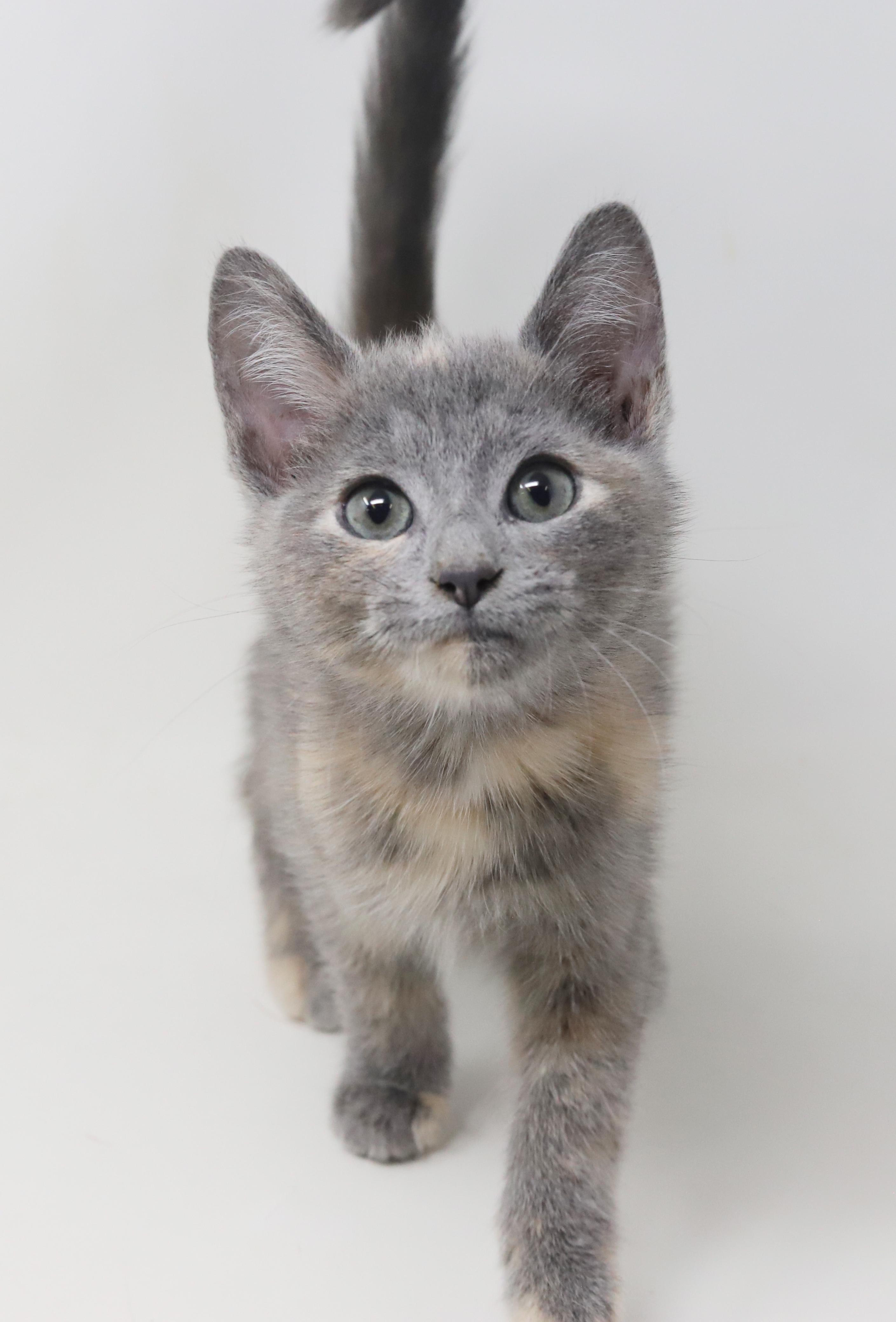 Belinda Is Well... The thumbnail 4