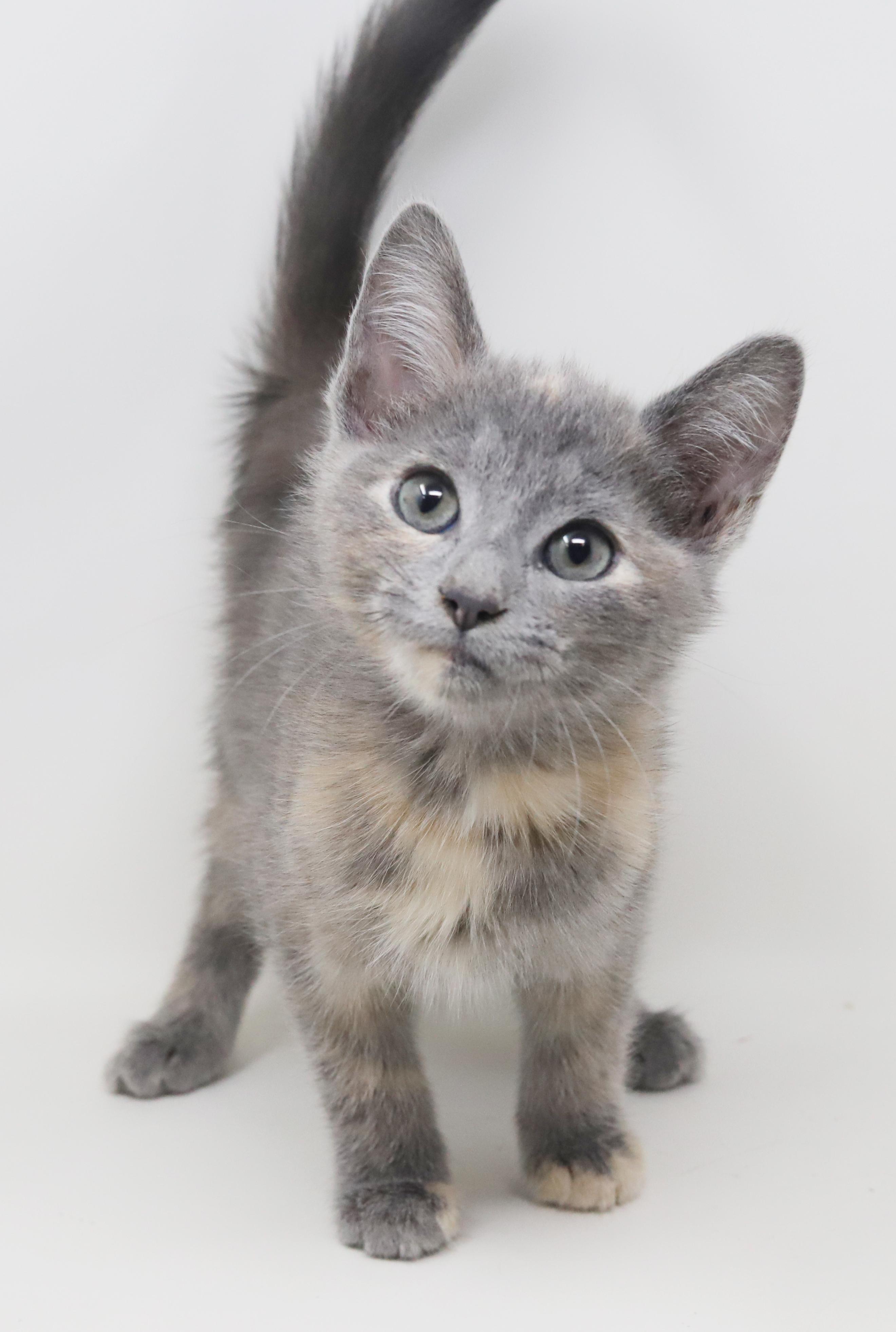 Belinda Is Well... The thumbnail 5