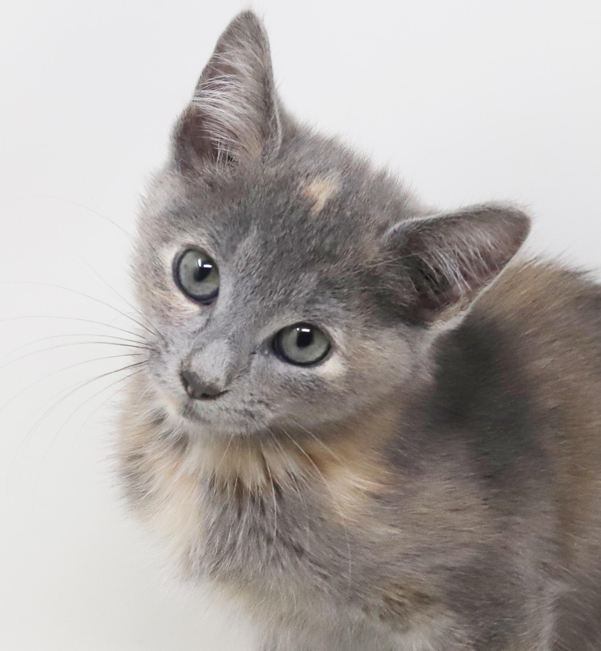 Belinda Is Well... The thumbnail 7