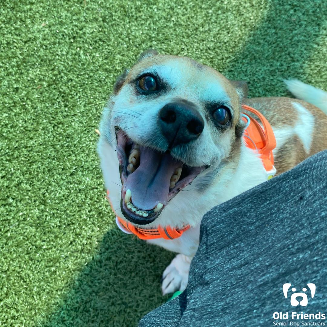 Cowboy — thumbnail 3