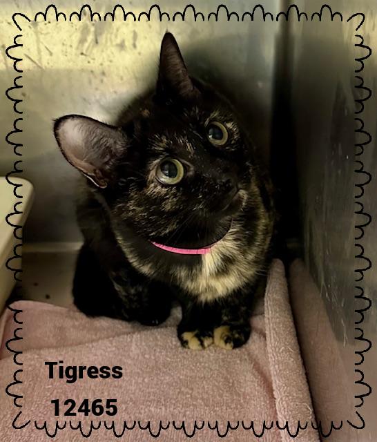 TIGRESS