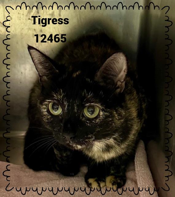 TIGRESS