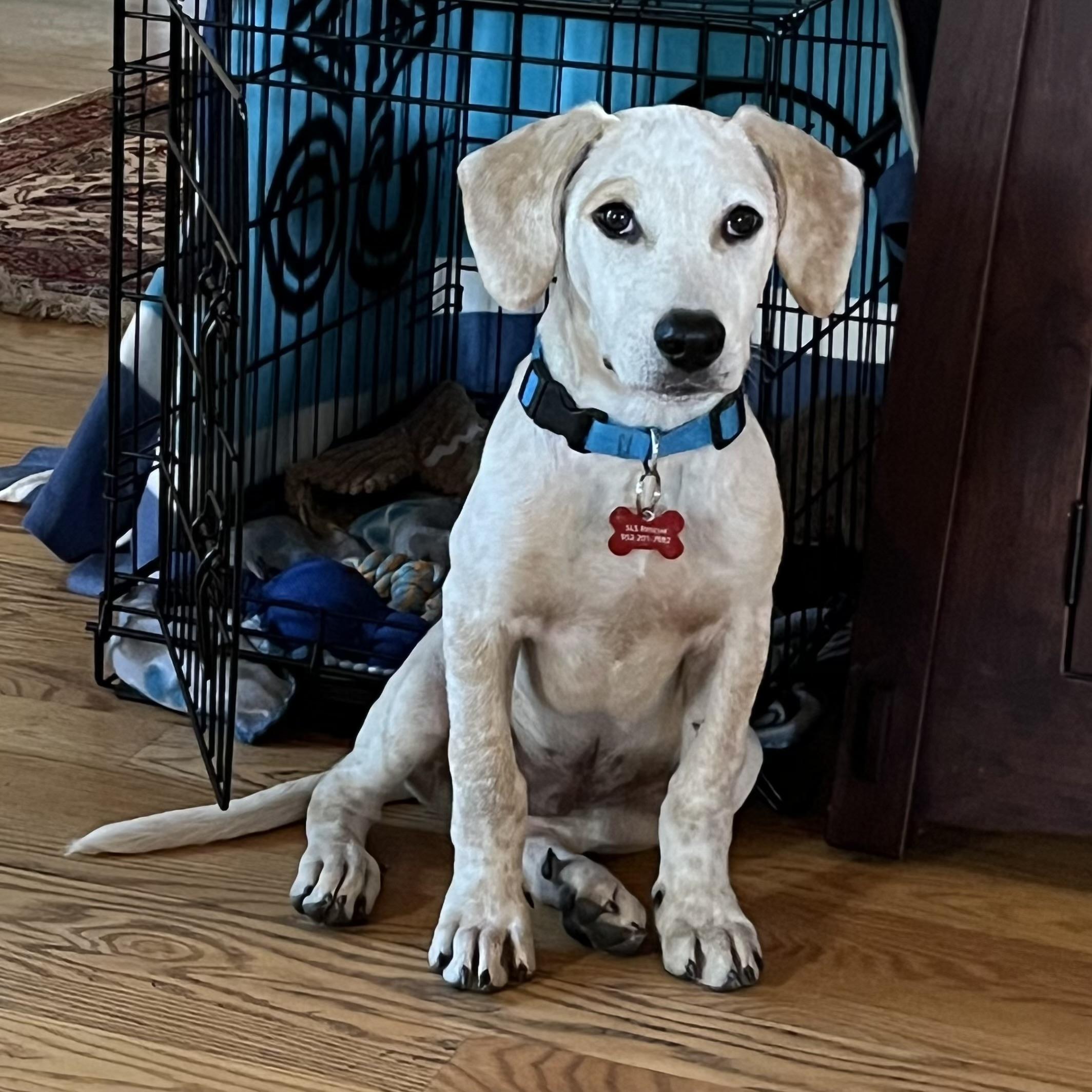 Axel