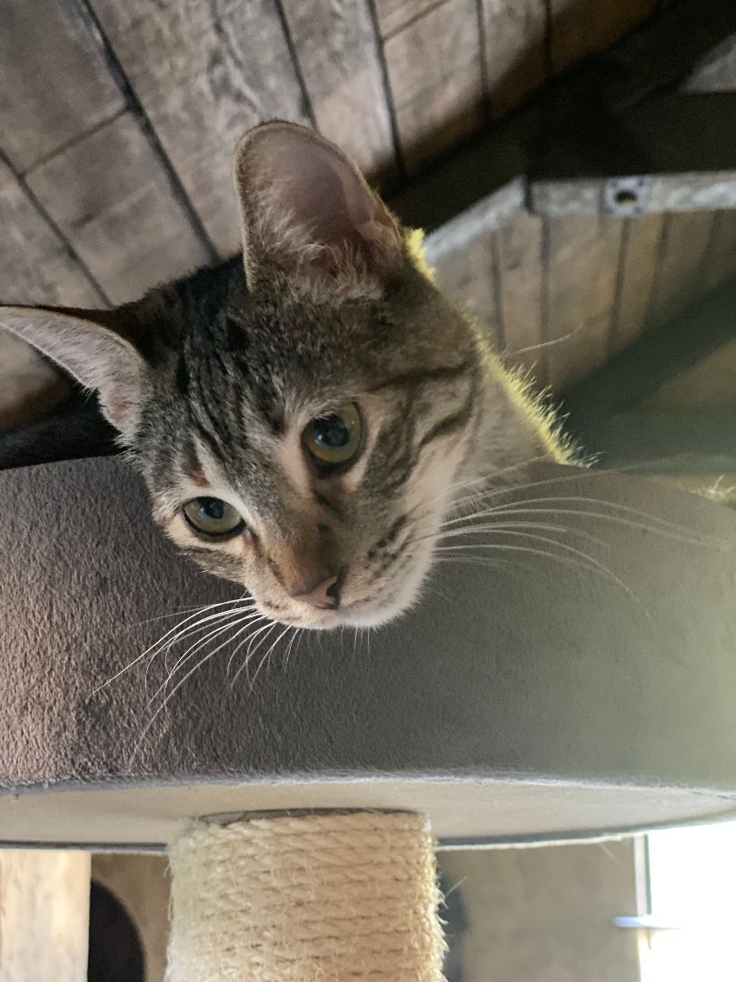 Penelope photo 3