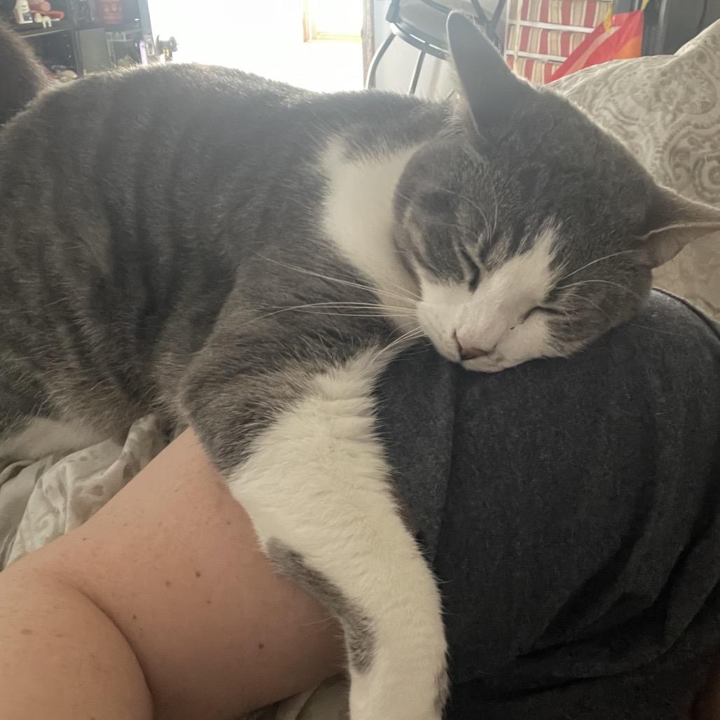 Daisynala thumbnail 3