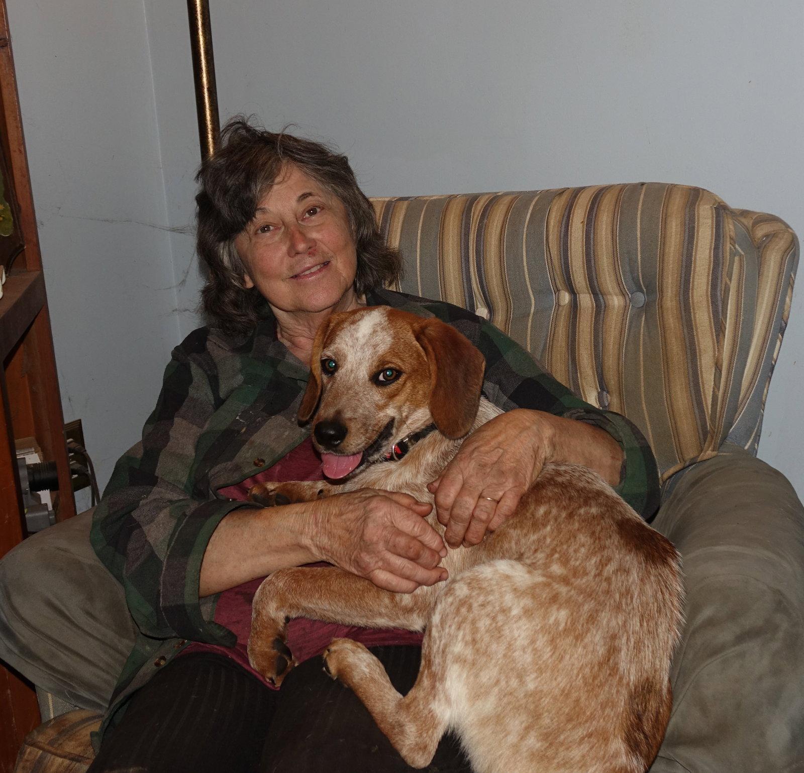 Enlarge Cody, a Adoptable mixed breed in Doylestown, PA image 3/3