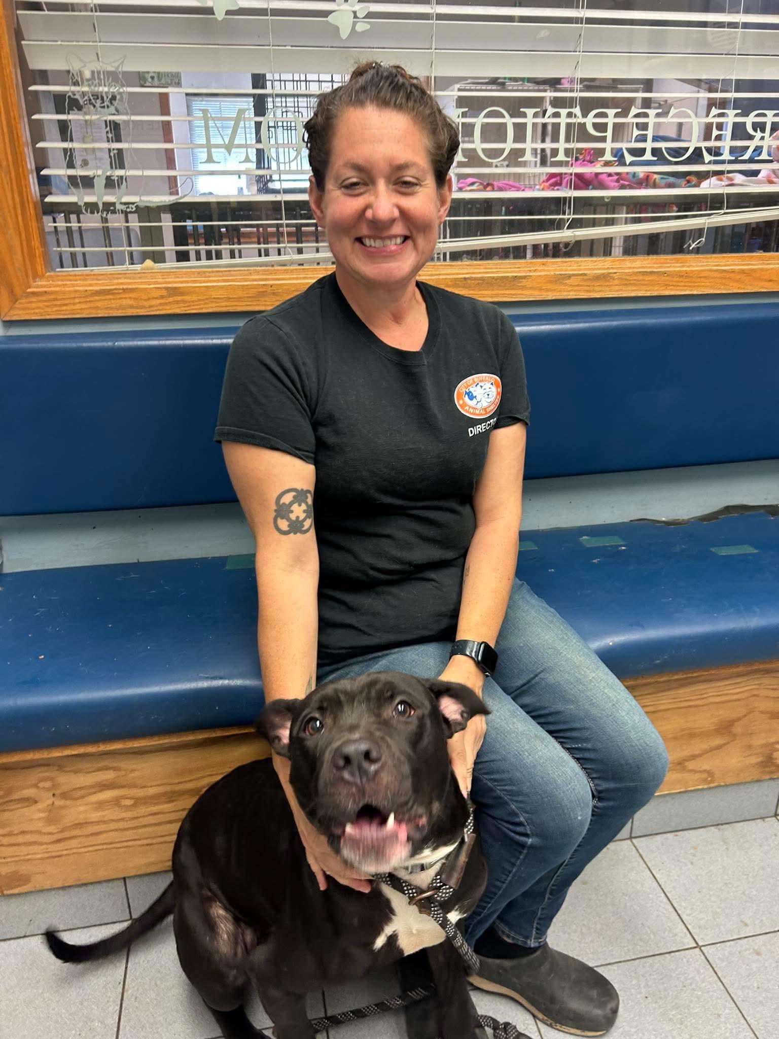 Enlarge Roman, a Adoptable Pit Bull Terrier in Buffalo, NY image 4/4